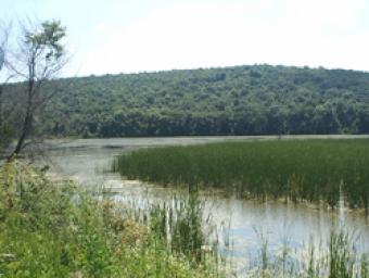 PLOT OF LAND CLOSE TO THE LAKE Burgas